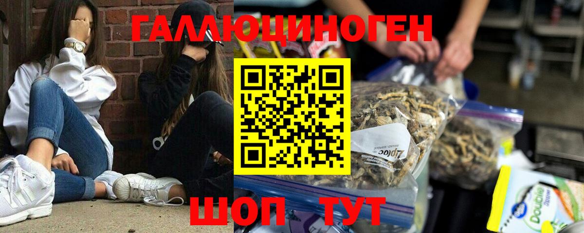 Псилоцибиновые грибы мицелий Шатура