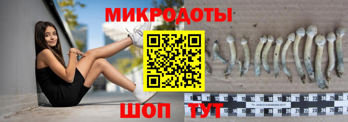 Галлюциногенные грибы мицелий  Вход с VPN  хочу   Галлюциногенные грибы Magic Shrooms  Шатура 